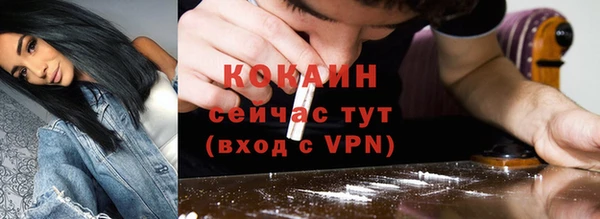 винт Вяземский