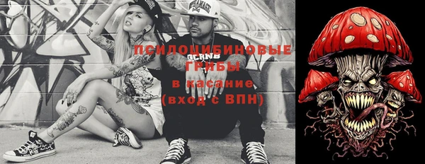 винт Вяземский