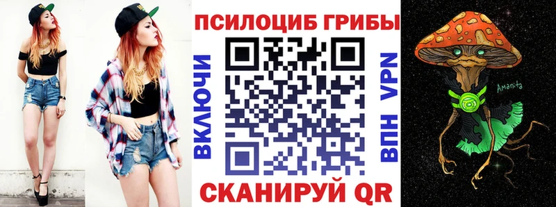Купить закладки  Венёв  Псилоцибиновые грибы GOLDEN TEACHER 